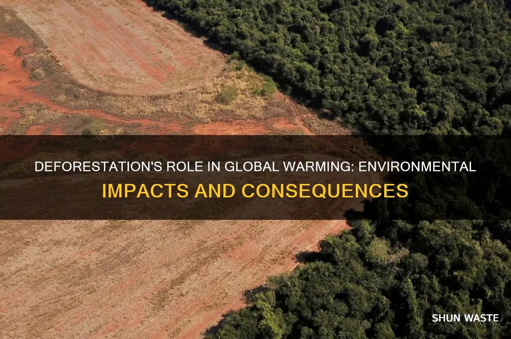 how global warming from deforestation affects the environment