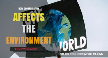 Globalization's Environmental Impact: Challenges, Consequences, and Sustainable Solutions