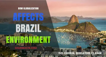 Globalization's Impact on Brazil's Environment: Challenges and Opportunities