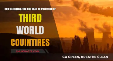 Globalization's Dark Side: Polluting the Poor