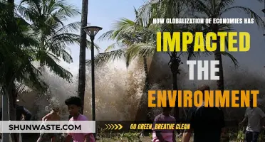 Globalization's Environmental Toll: Economic Integration and Ecological Consequences