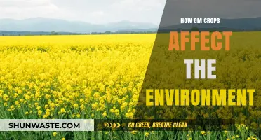 Environmental Impact of GM Crops: Benefits, Risks, and Sustainability