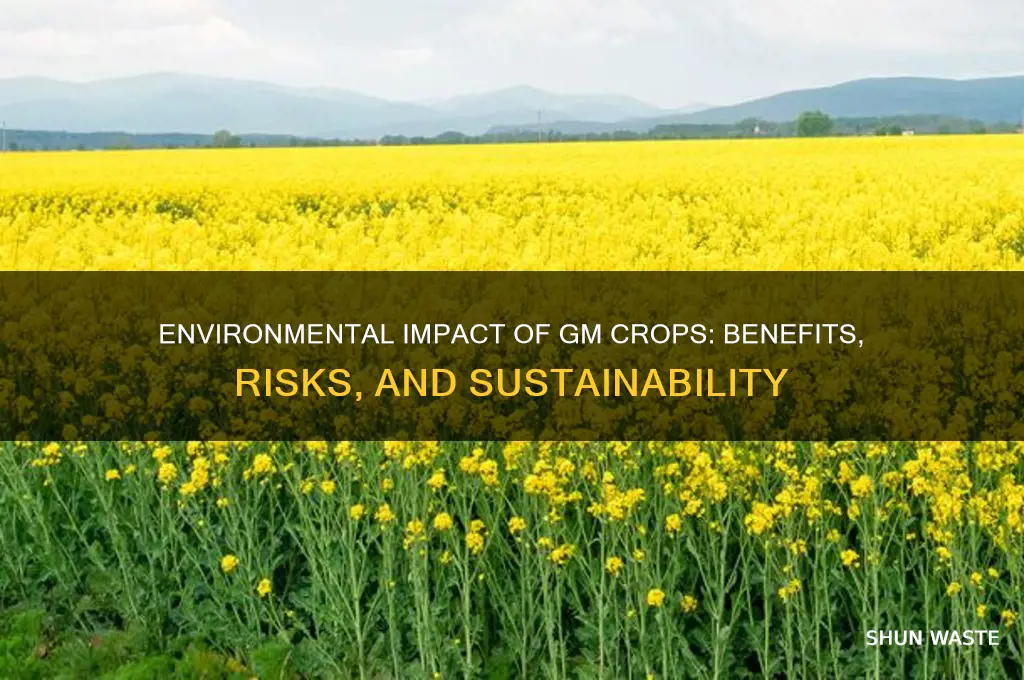 how gm crops affect the environment