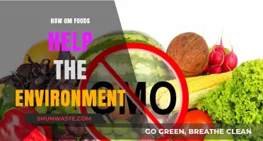 GM Foods: Sustainable Solutions for a Greener, Healthier Planet