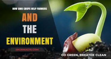 GMO Crops: Empowering Farmers, Protecting the Environment, and Ensuring Sustainability