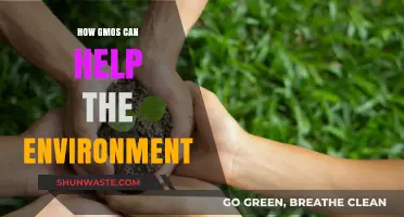 GMOs: Sustainable Solutions for a Greener, Healthier Planet