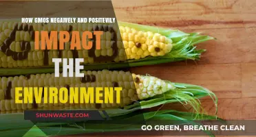 GMOs' Dual Edge: Environmental Benefits and Ecological Concerns Explored