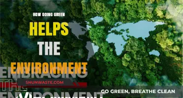 Sustainable Living: How Going Green Protects Our Planet and Future