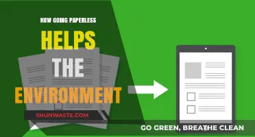 Going Paperless: A Sustainable Choice to Protect Our Environment
