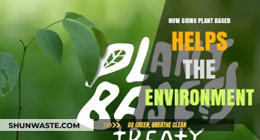 Plant-Based Living: A Powerful Step Toward Environmental Sustainability