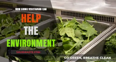 Vegetarianism's Green Impact: Saving the Planet, One Meal at a Time