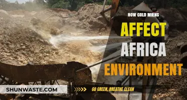 Gold Mining's Environmental Impact: Africa's Ecosystems at Risk