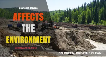 Gold Mining's Environmental Impact: Destruction, Pollution, and Ecosystem Disruption