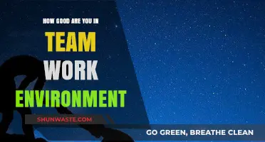 Mastering Collaboration: Assessing Your Teamwork Skills in the Workplace