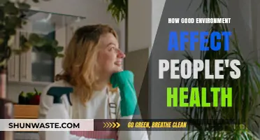 Clean Surroundings, Clear Minds: The Health Benefits of a Good Environment