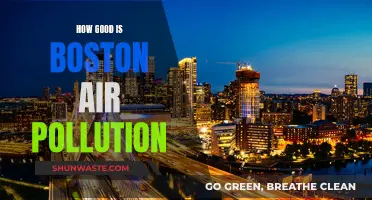 Boston's Air Quality: A Breath of Fresh Air?