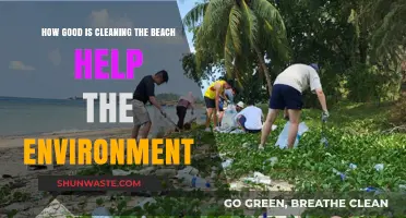 Cleaning Beaches: A Powerful Step Toward Protecting Our Environment
