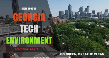 Exploring Georgia Tech's Vibrant Campus Environment: A Student's Perspective