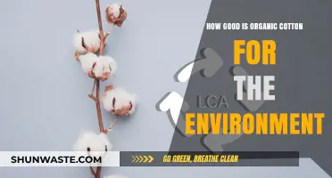 Organic Cotton's Eco-Impact: Sustainable Choice or Greenwashing Myth?