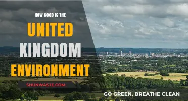 Exploring the UK's Environmental Health: Strengths, Challenges, and Sustainability Efforts
