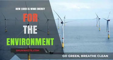 Wind Energy's Environmental Impact: Clean Power or Green Myth?