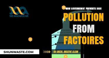 Strict Regulations: Curbing Factory Pollution