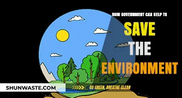 Government's Role in Protecting Our Planet: Sustainable Solutions for a Greener Future