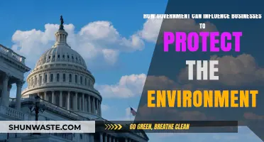 Government Policies: Driving Business Toward Sustainable Environmental Practices