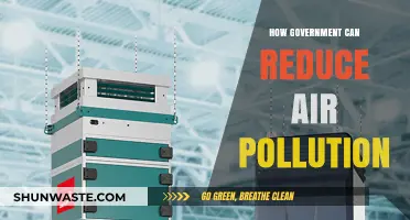 Strategies for Clean Air: Government's Role in Reducing Pollution