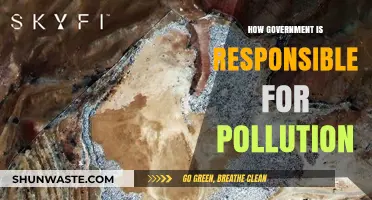 Policy Pollution: Government's Role in Environmental Crisis