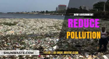 Government Strategies to Reduce Pollution