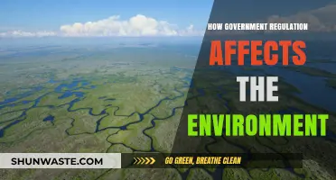 Government Policies: Shaping Environmental Outcomes and Sustainability Impacts
