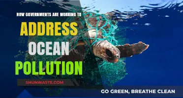 Governments Unite to Combat Ocean Pollution