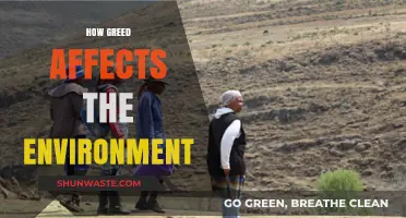 Greed's Devastating Impact: How Excessive Consumption Destroys Our Environment