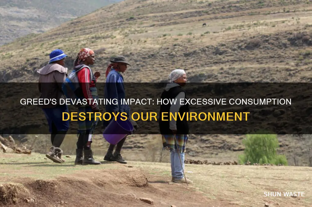 how greed affects the environment