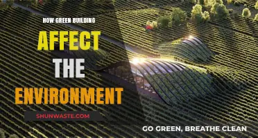 Green Building Impact: Sustainable Construction's Environmental Benefits Explained
