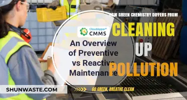 Green Chemistry: Prevention vs Cure for Pollution