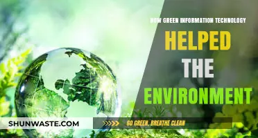 Green IT Innovations: Transforming Technology for a Sustainable Environment