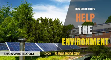 Green Roofs: Sustainable Solutions for a Healthier, Greener Environment