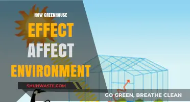 Greenhouse Effect's Impact: How It Alters Our Environment and Climate