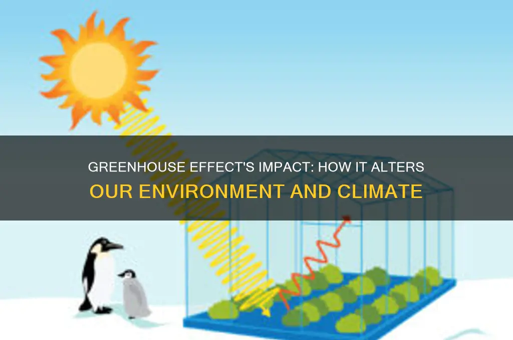 how greenhouse effect affect environment