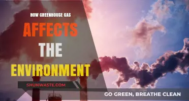 Greenhouse Gases: Unraveling Their Devastating Impact on Our Environment