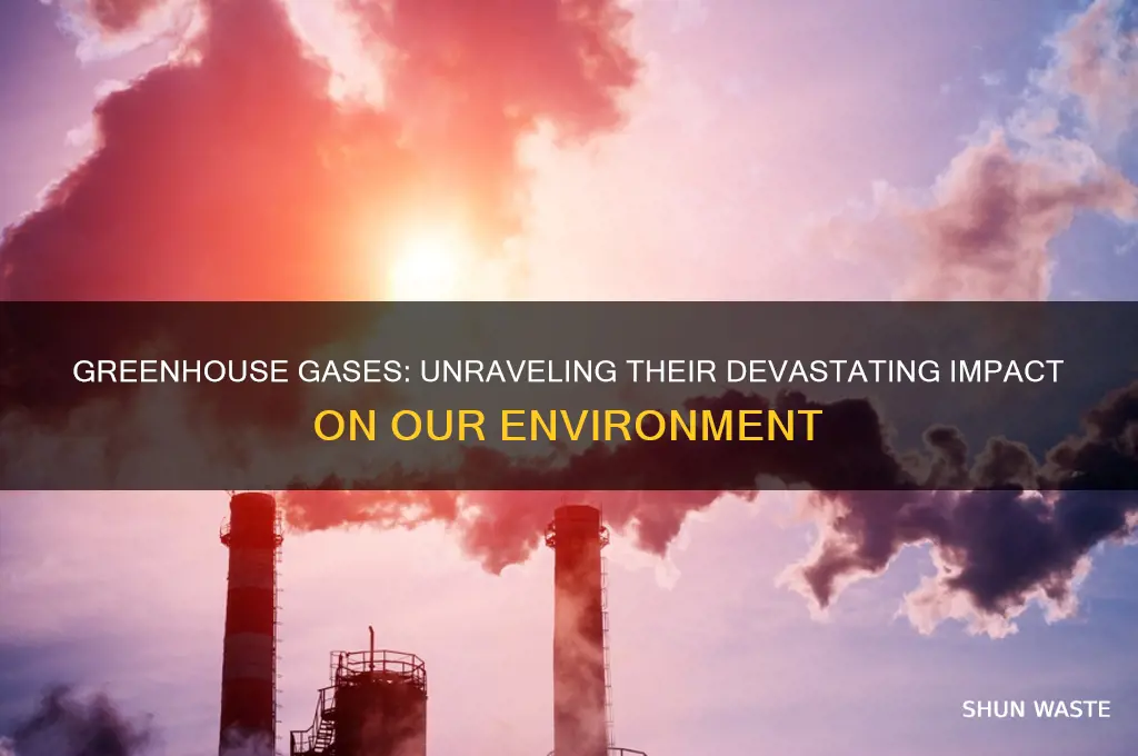 how greenhouse gas affects the environment