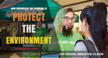 Greenpeace's Global Efforts: Safeguarding Our Planet for Future Generations