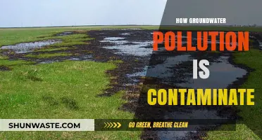 Groundwater Pollution: Contaminating Our Water Sources