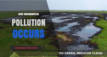 Groundwater Pollution: Understanding the Contamination Sources