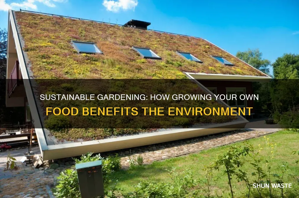 how growing your own food is good for the environment