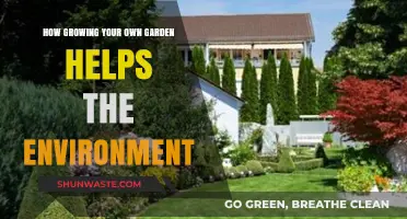 Green Thumb, Green Planet: How Gardening Benefits the Environment