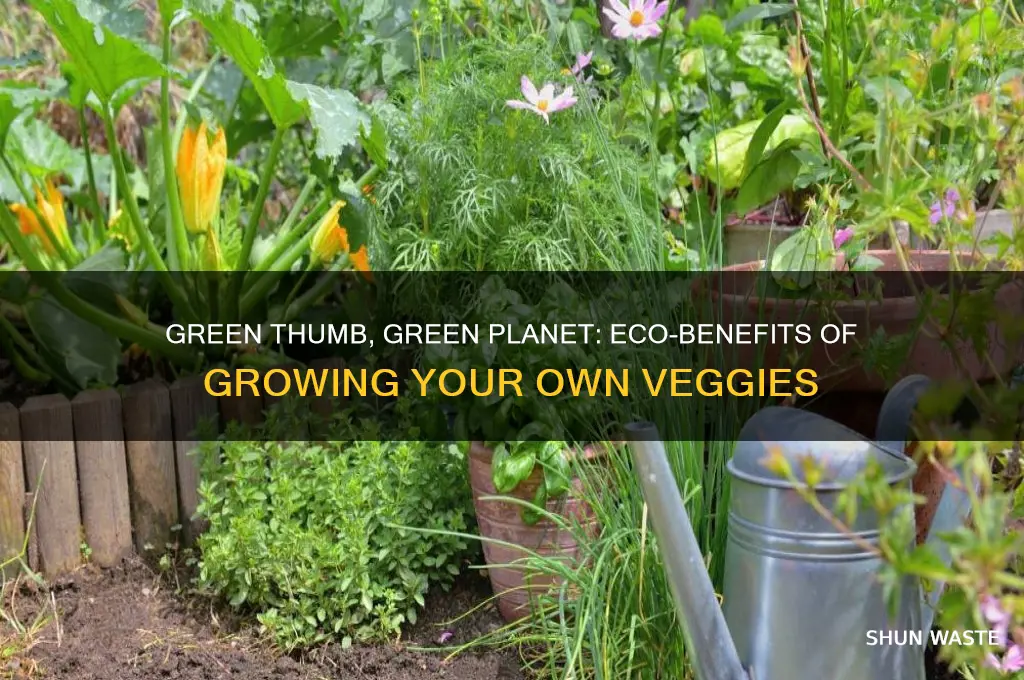 how growing your own vegetables helps the environment