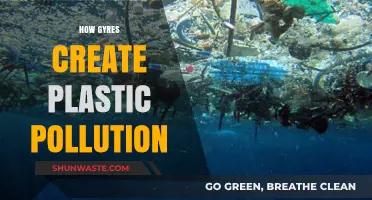 Gyres' Impact: Plastic Pollution Explained